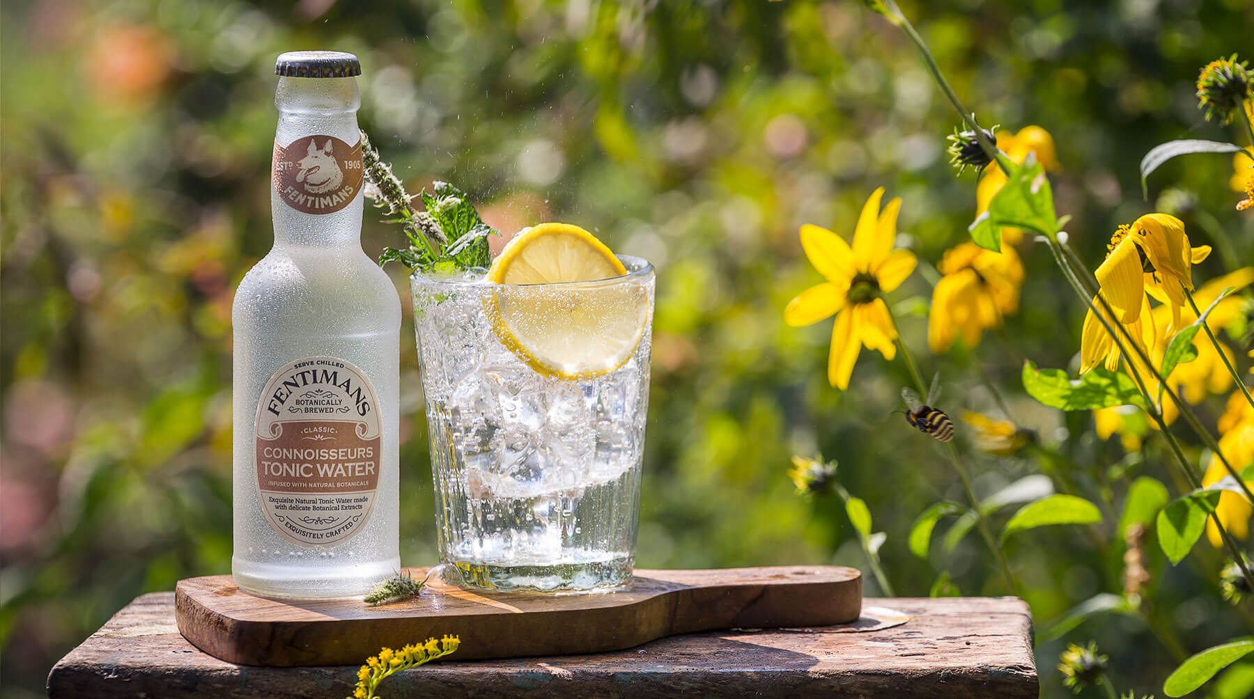 Fentimans Connoisseurs Tonic Water